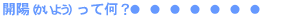 開陽丸